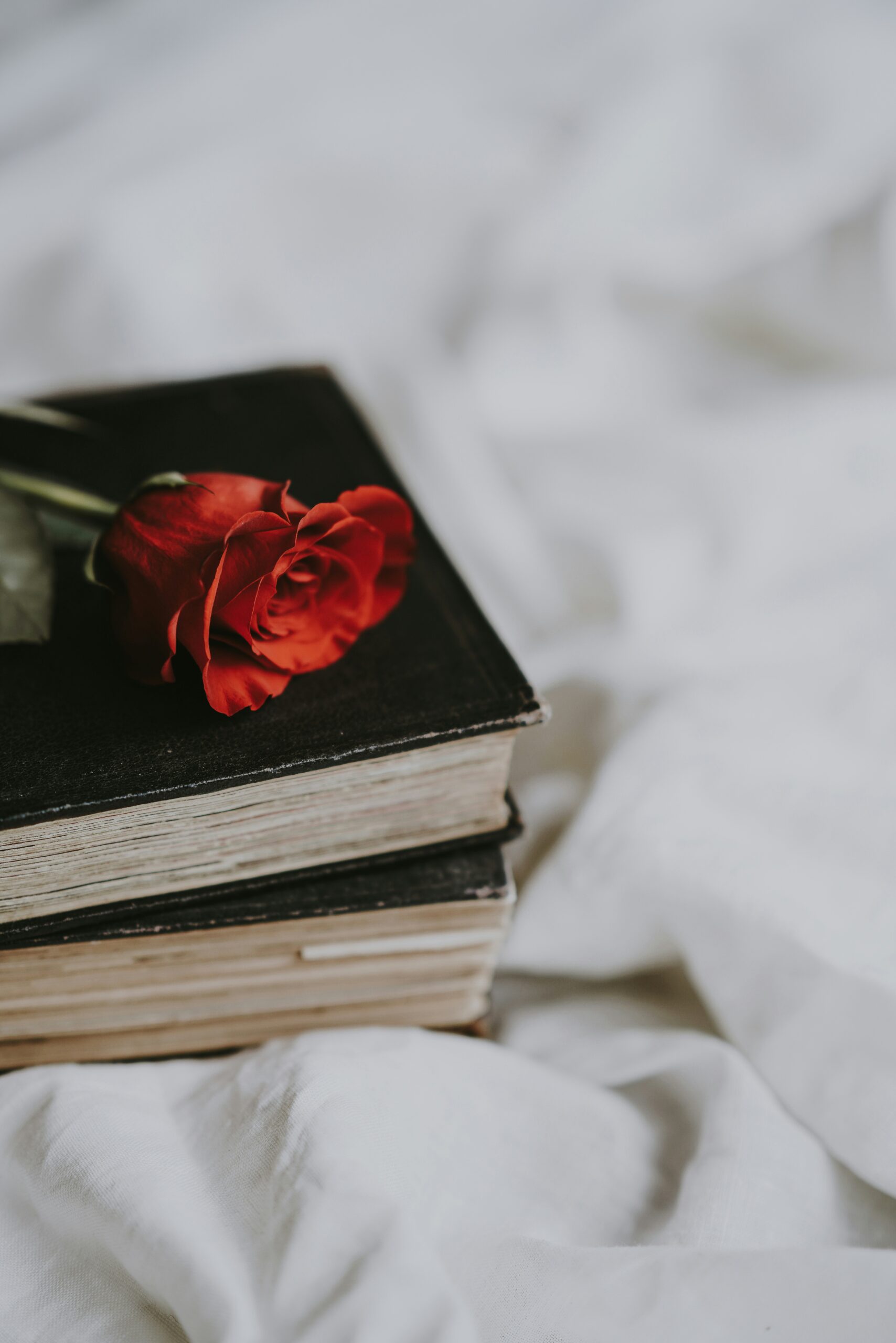 annie spratt os4hh jd80o unsplash