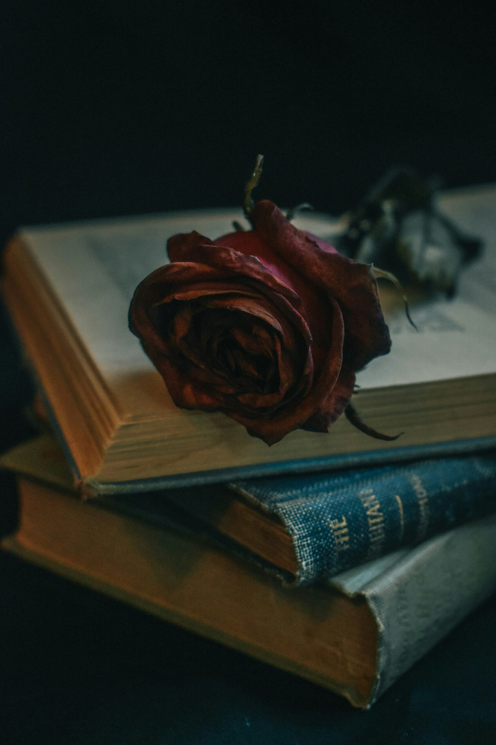 mariah hewines 2c7hdywqt8u unsplash